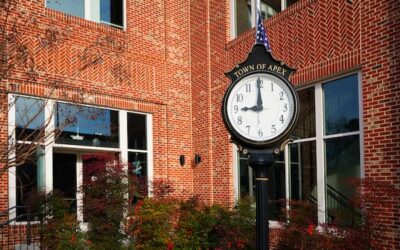 Peak City Web Design vs. Conversion Fox Marketing: Which Web Design Agency in Apex is Right for Your Business?