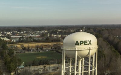 The Bowerbird Agency vs. Conversion Fox Marketing: Comparing Apex, NC-based Web Agencies