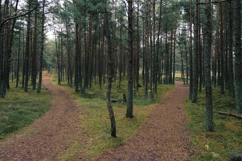 choosing a path