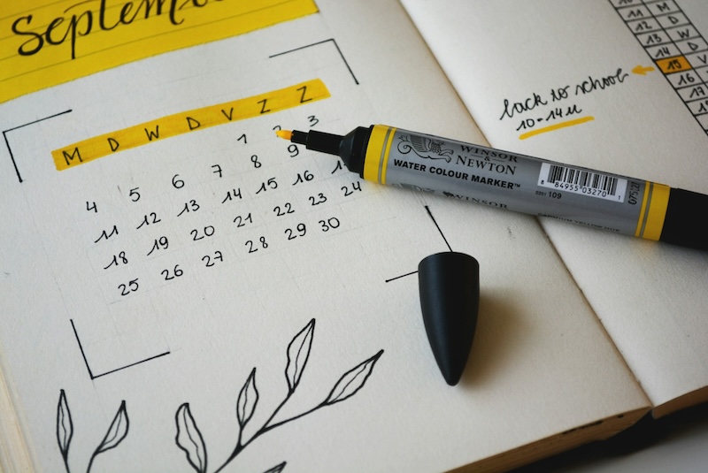 website timeline planner