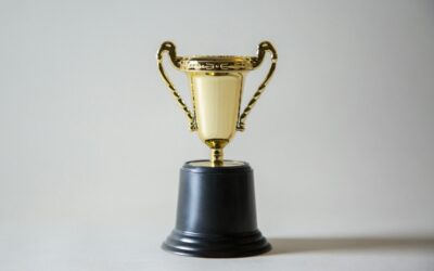 Should You Trust Website Awards and Badges? How to Evaluate Web Design Agencies in Apex, NC and Beyond
