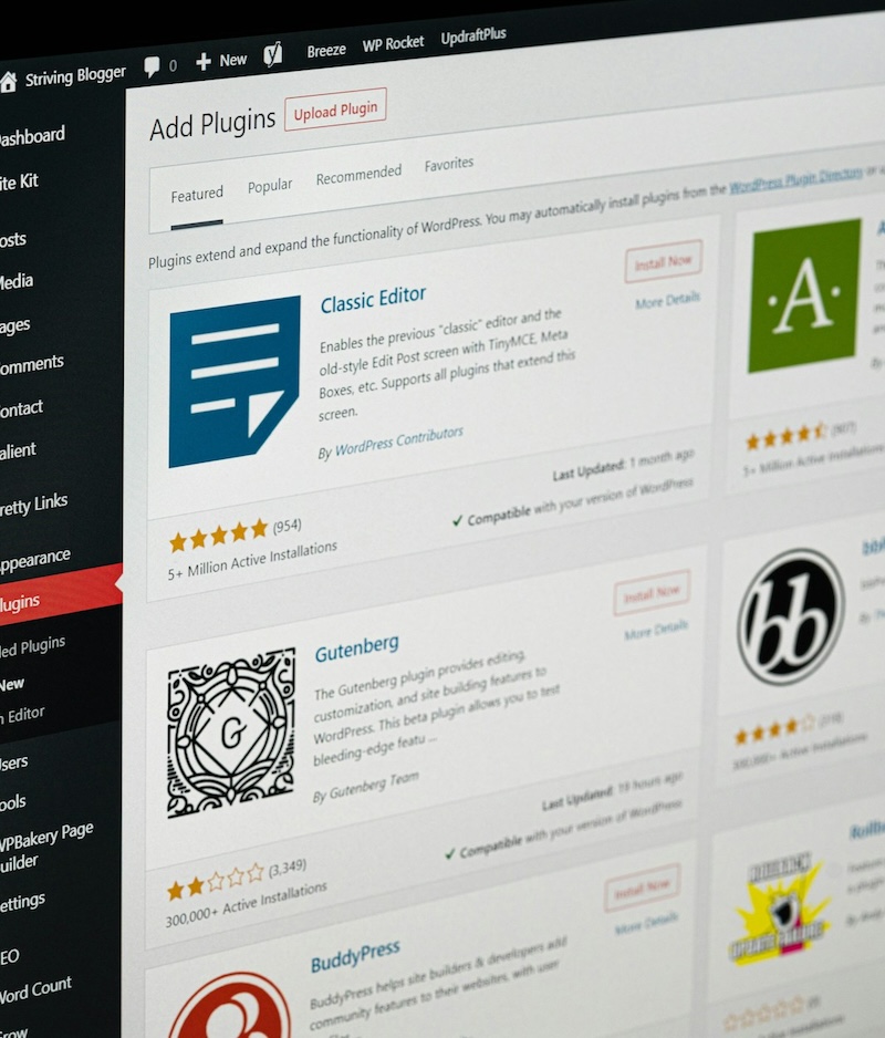wordpress maintenance package